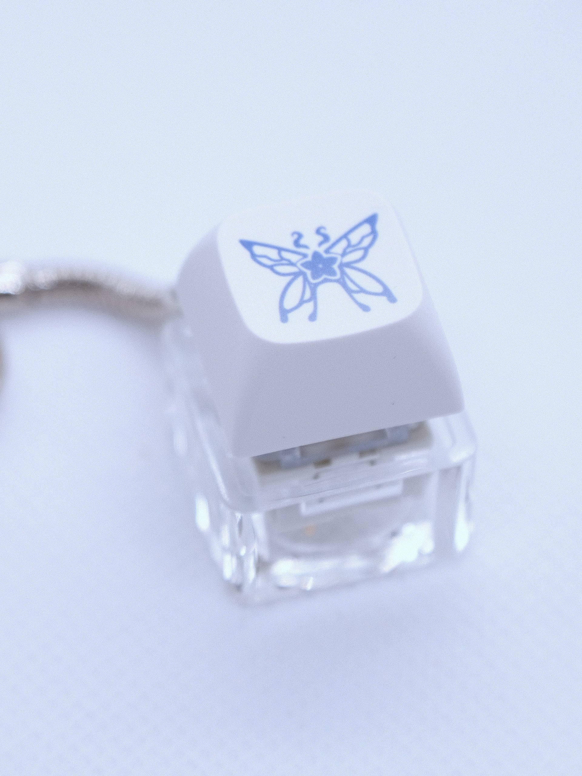 [Offkai Pick Up Only] Butterfly Keycaps product image (5)