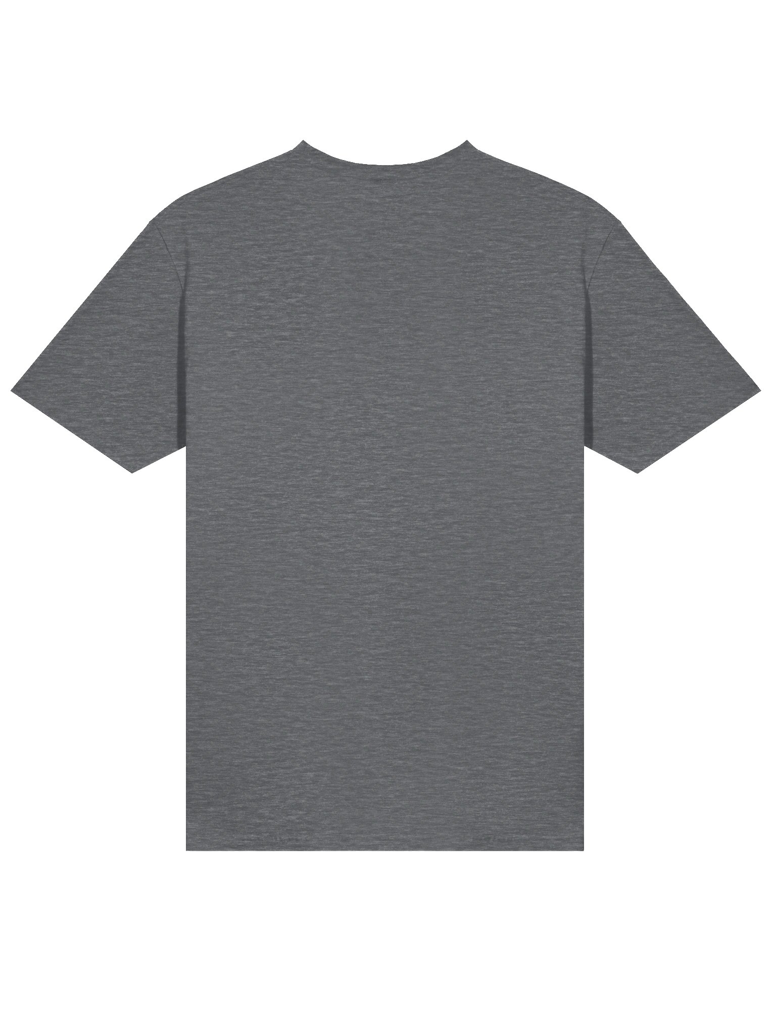 Classic Logo - Lightweight Tee product image (18)