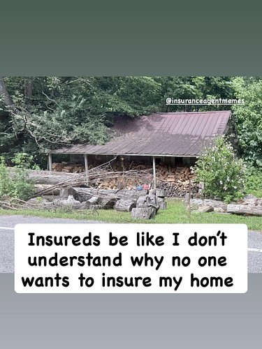 I don’t see the risk! #insuranceagentmemes #insuranceagentproblems #riskmanagement