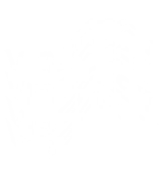 VIBEFEST