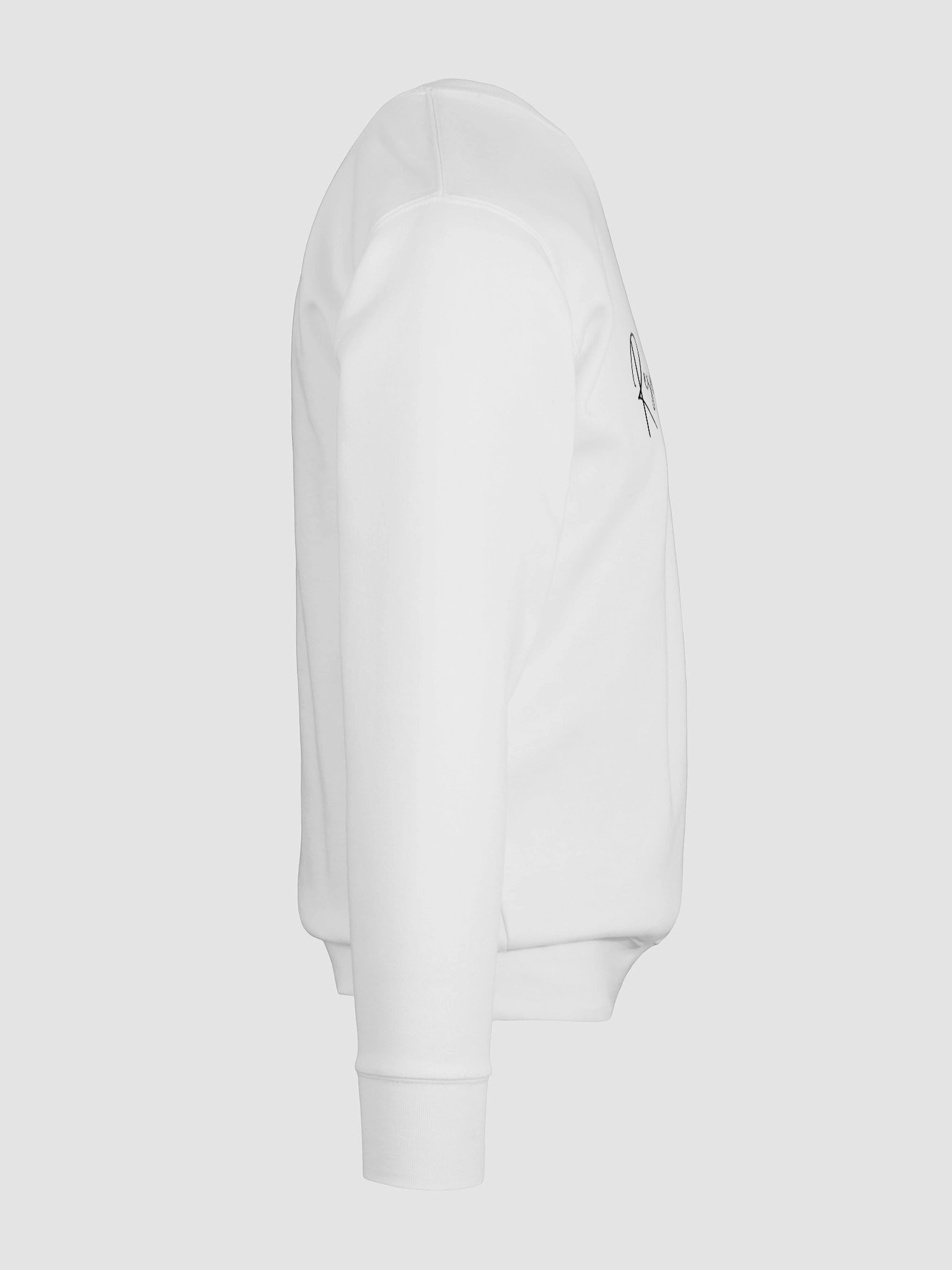Resolver in the Wild Sweatshirt product image (11)
