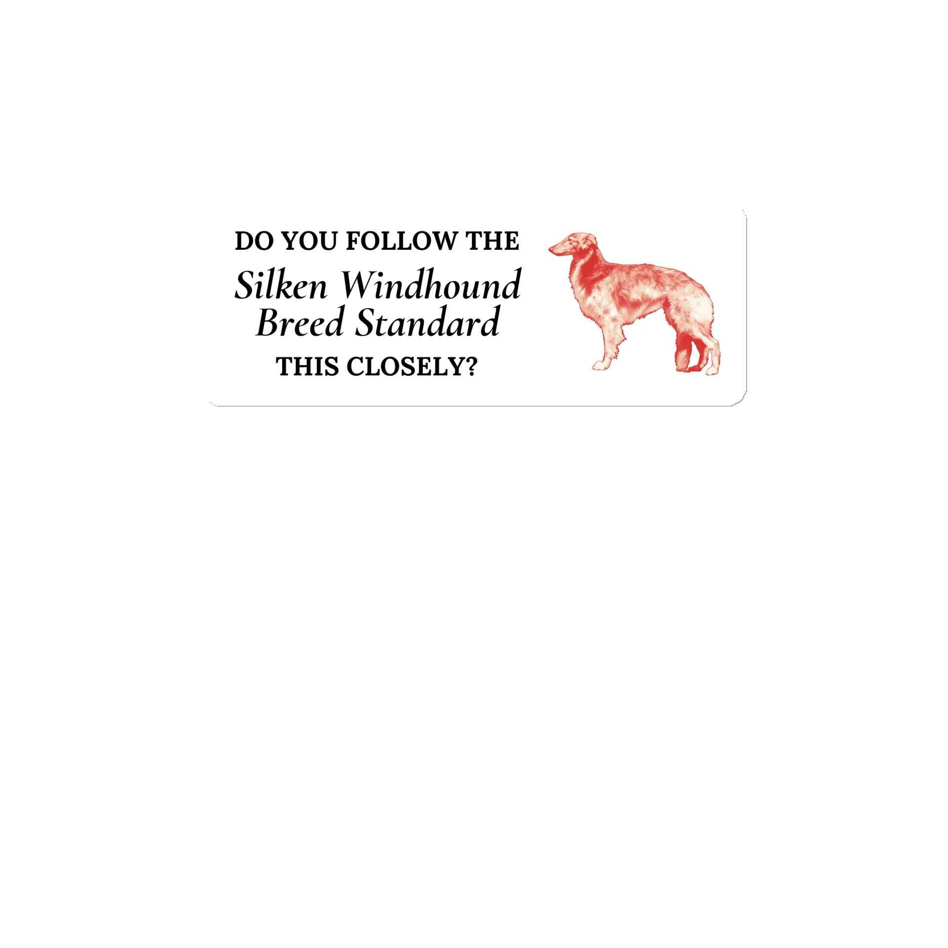 Do You Follow the Standard - Magnet product image (1)