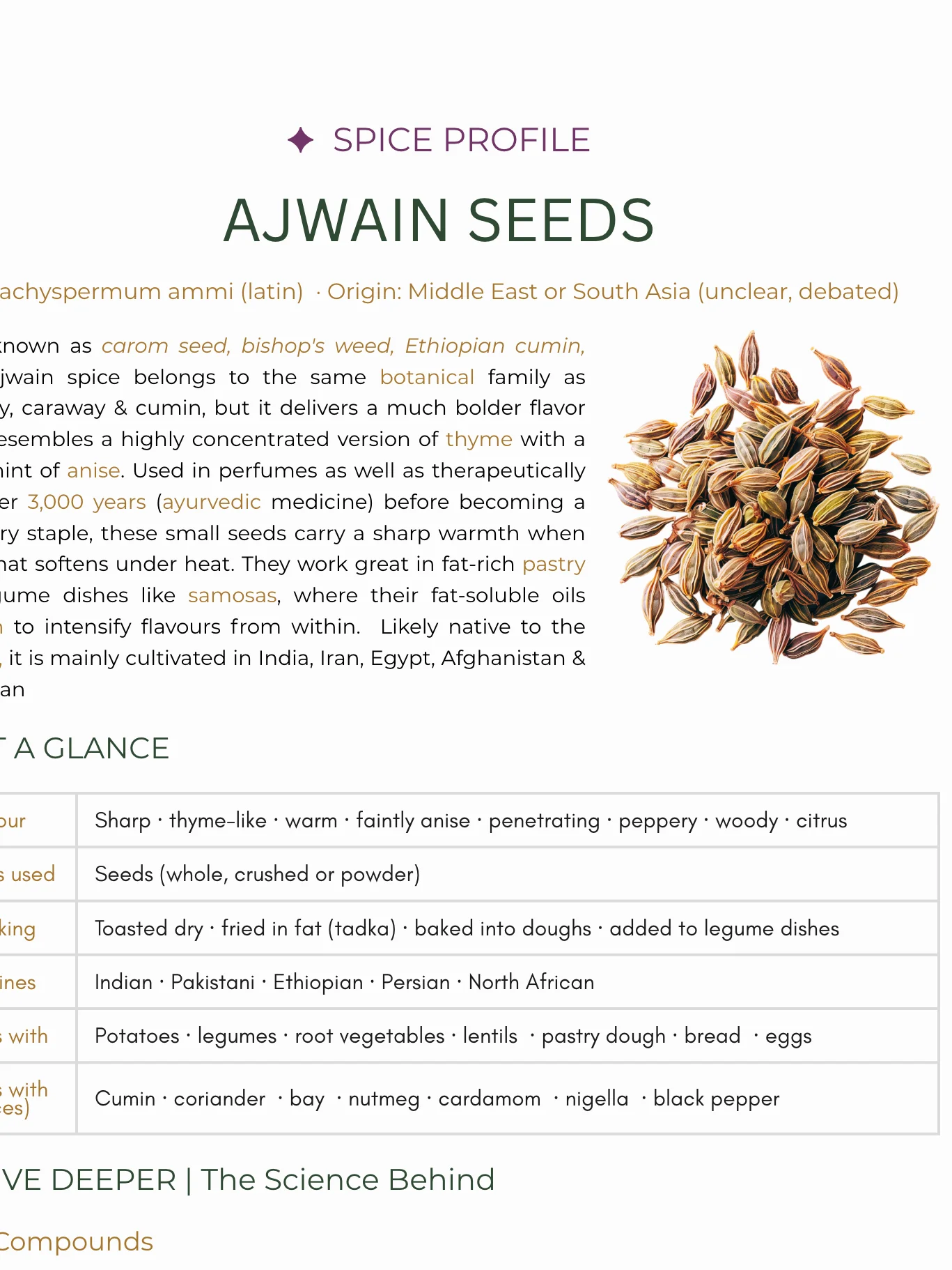 Hero spice profile, the ajwain seeds (free digital download) product image (2)