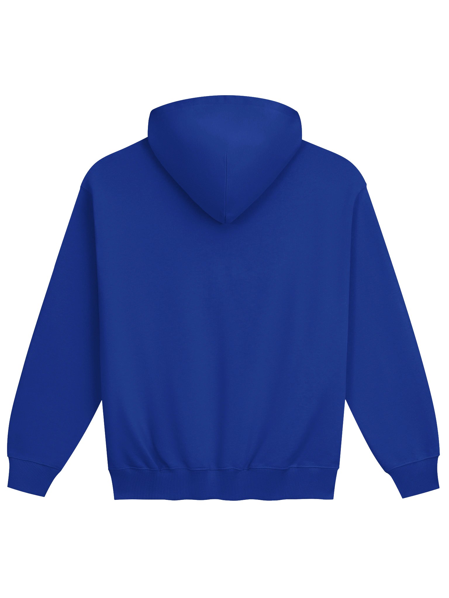 Blue Hoodie product image (2)