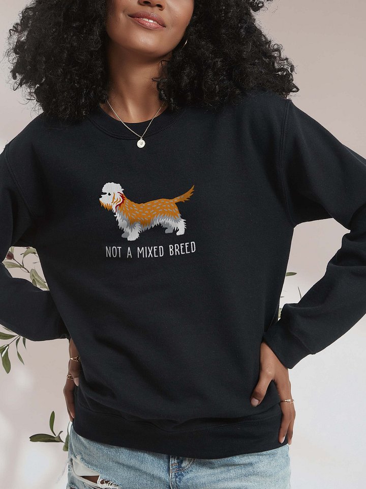 Not a Mixed Breed Sweatshirt (Embroidered) of a Dandie Dinmont Terrier(Mustard) product image (2)