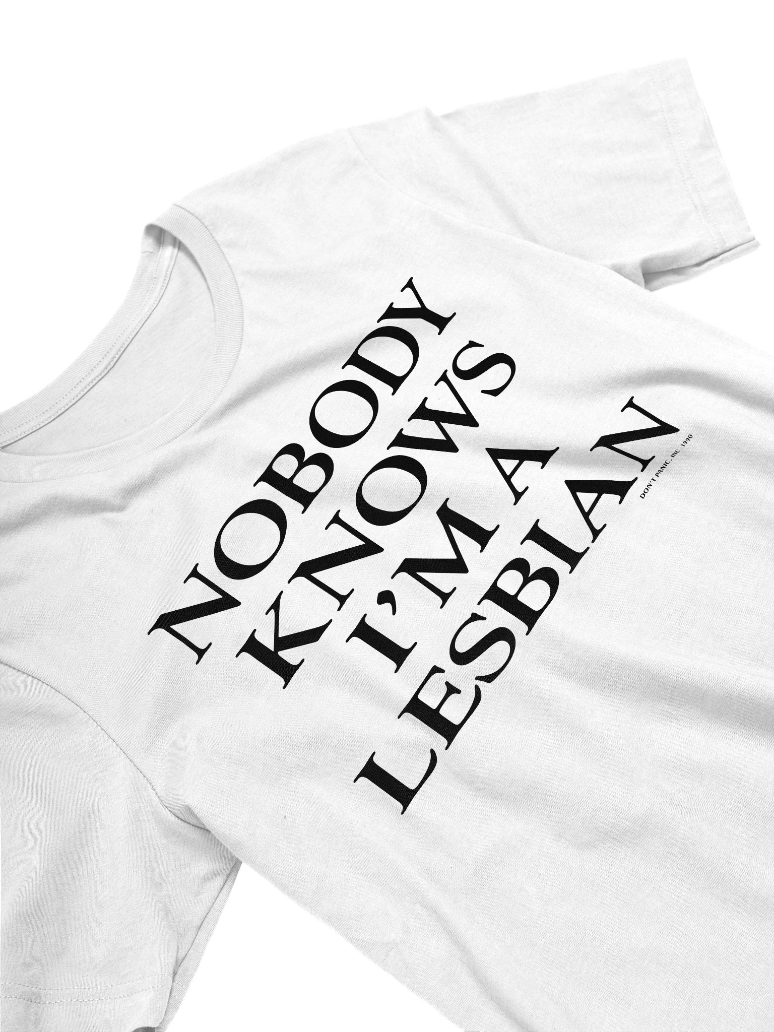 NOBODY KNOWS I'M A LESBIAN (AXL) TEE product image (1)