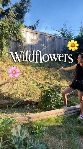 Do you see the vision?! 

I planted lupins, lots of PNW wildflower mix and a variety of poppies. Now we wait!

#wildflowers #...