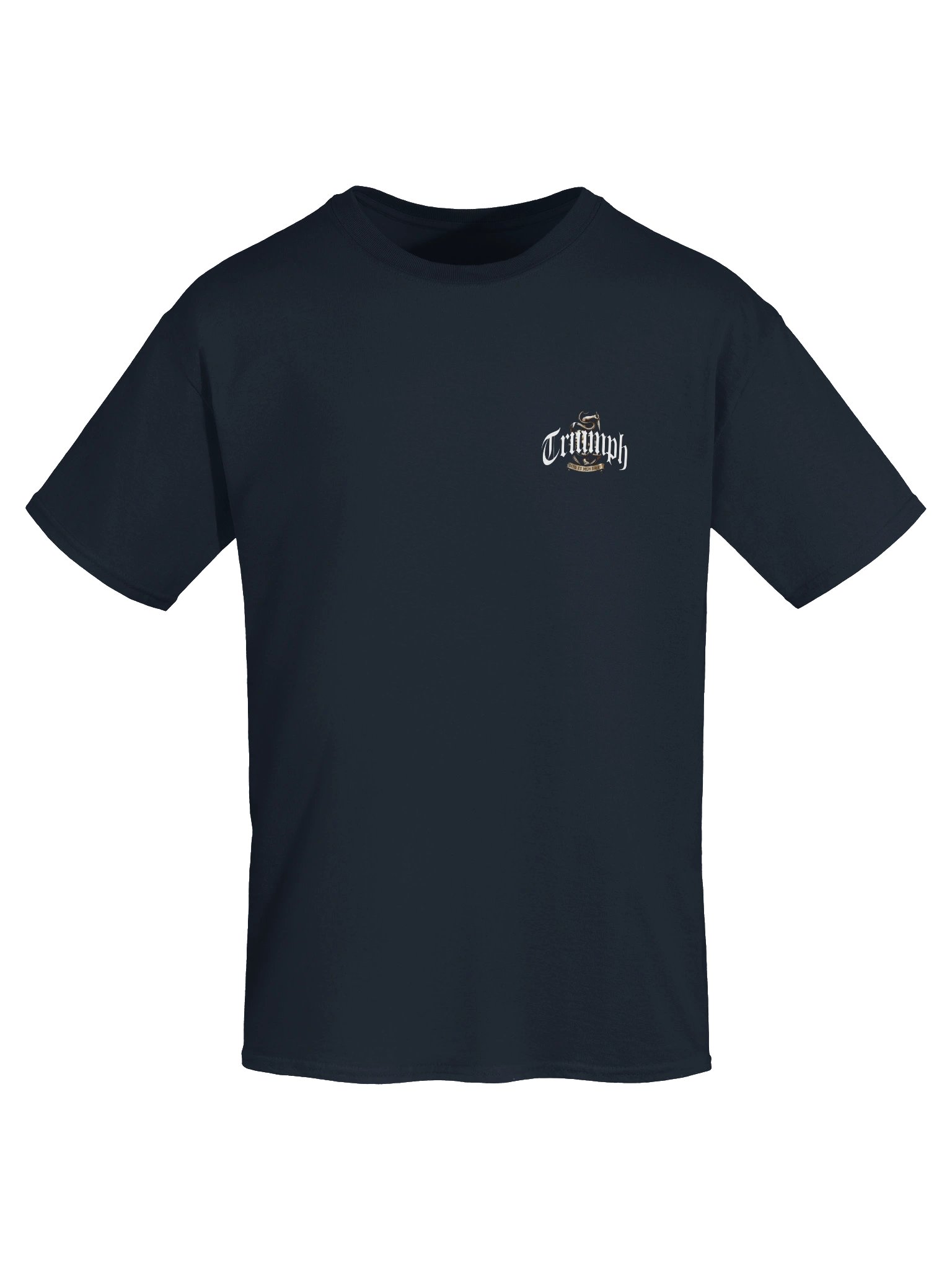 Triumph Minimal Logo Tee product image (25)