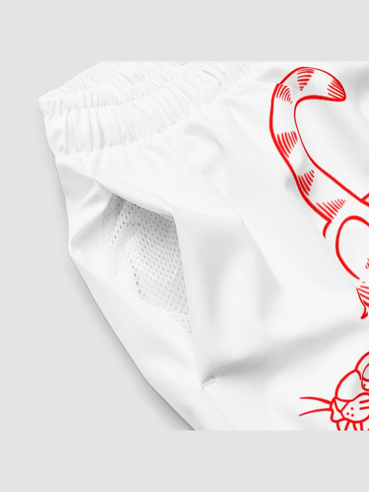 Red Panther Swim Trunks product image (2)