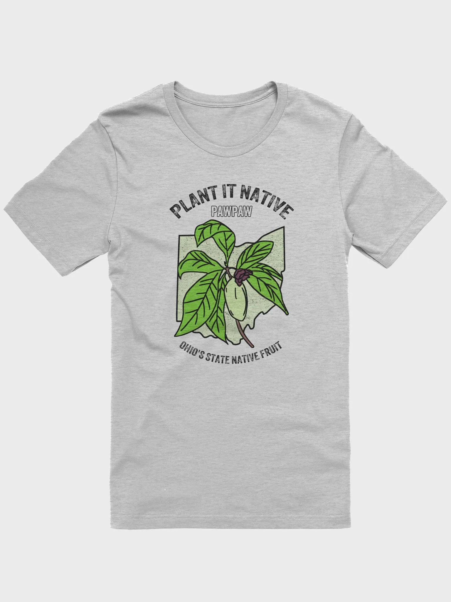 Plant It Native Pawpaw 2 product image (2)