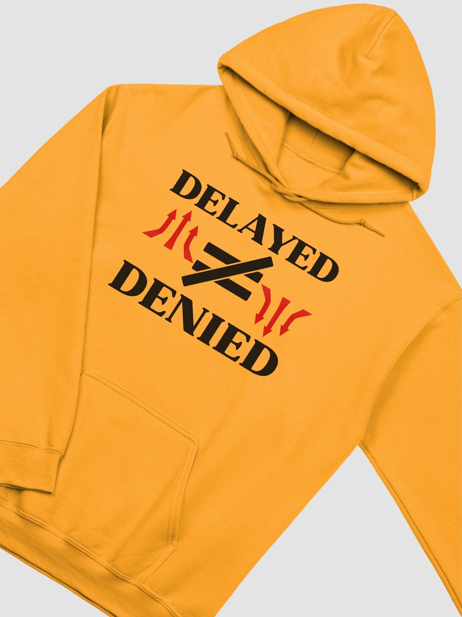 Delayed Not Denied Gildan Hoodie product image (13)