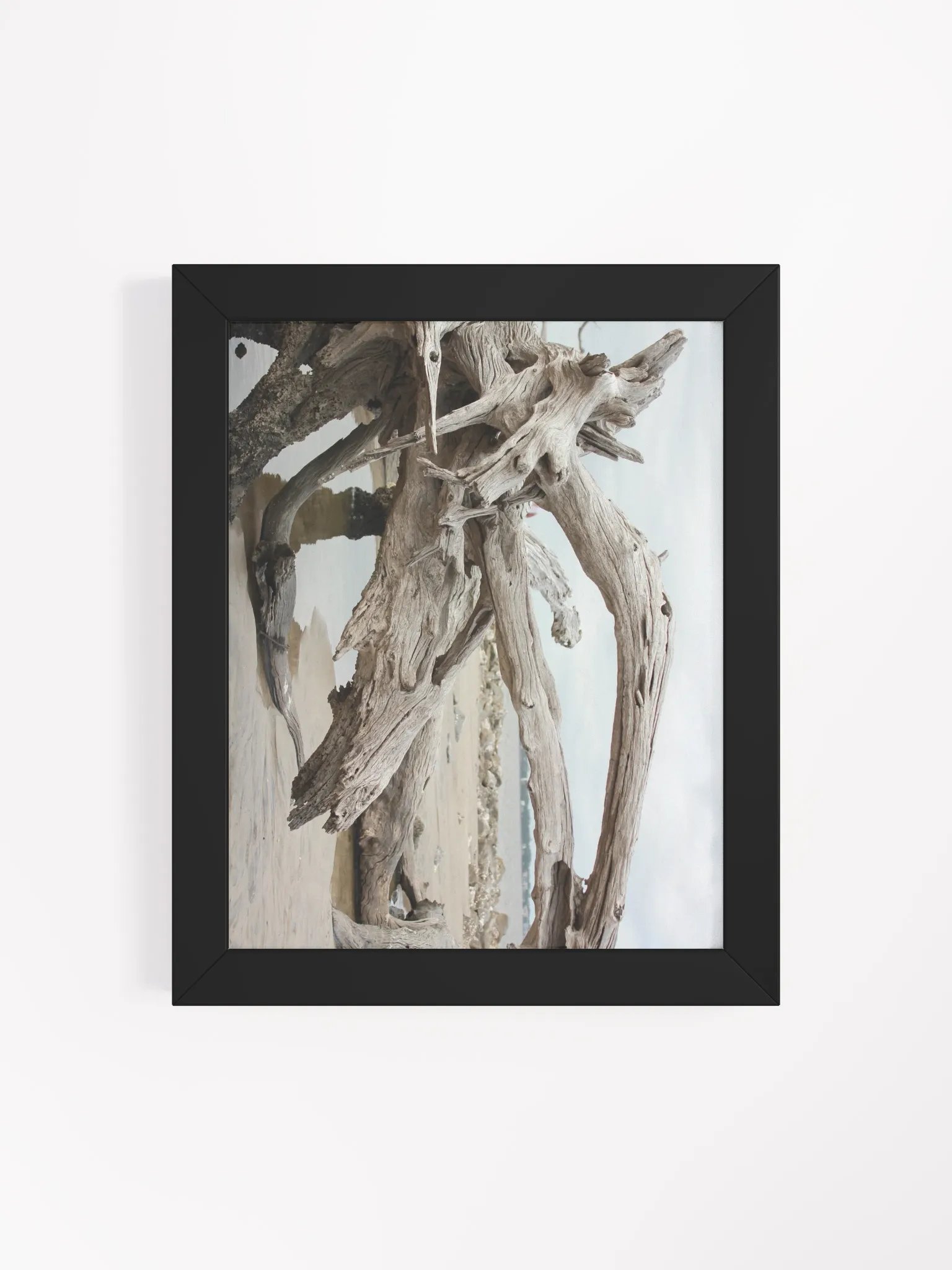Driftwood product image (7)