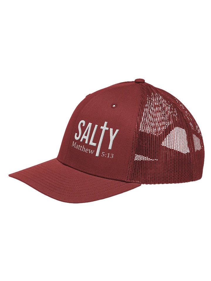 Salty Snapback product image (1)
