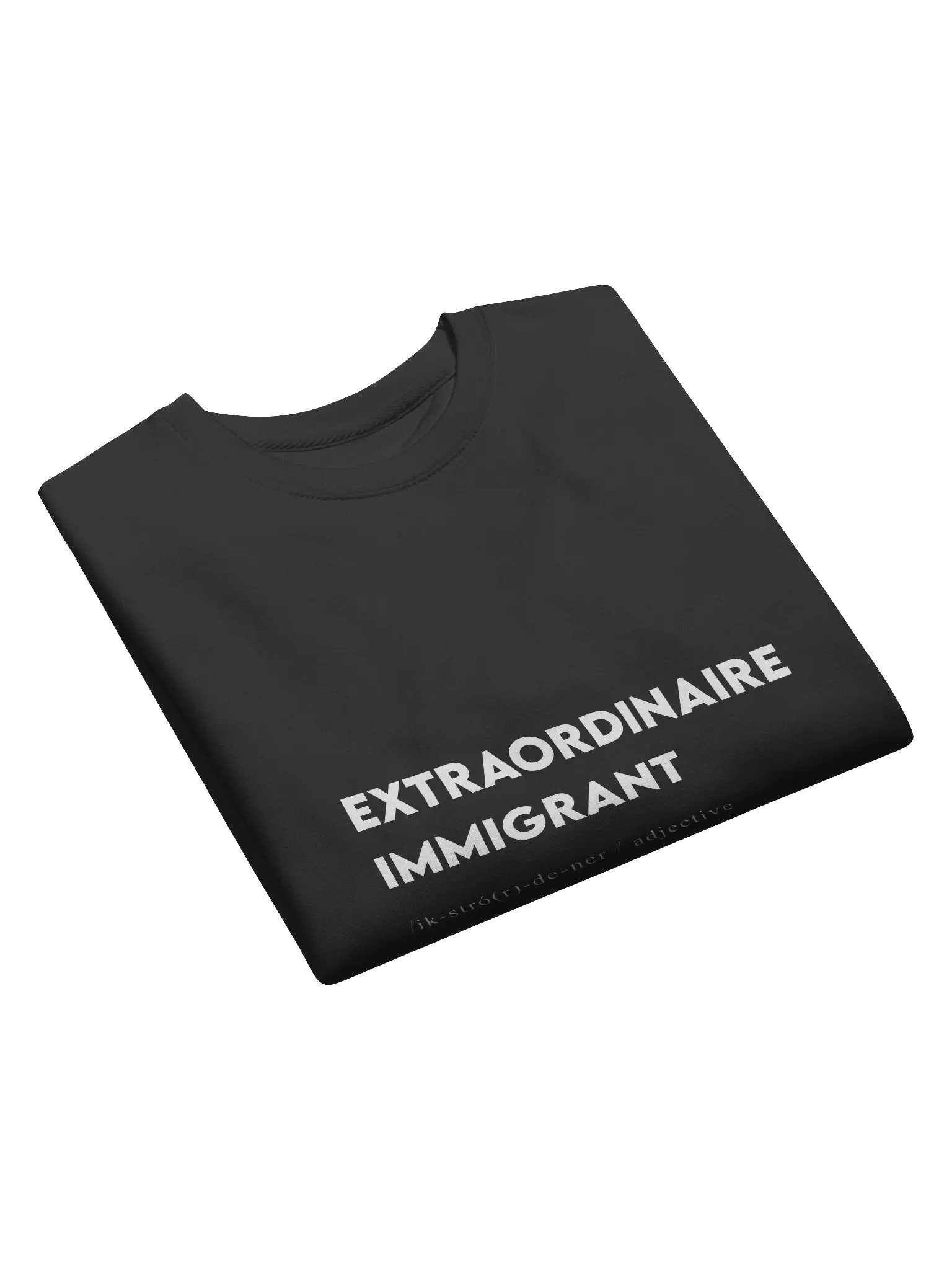 Extraordinaire Immigrant Sweatshirt product image (6)