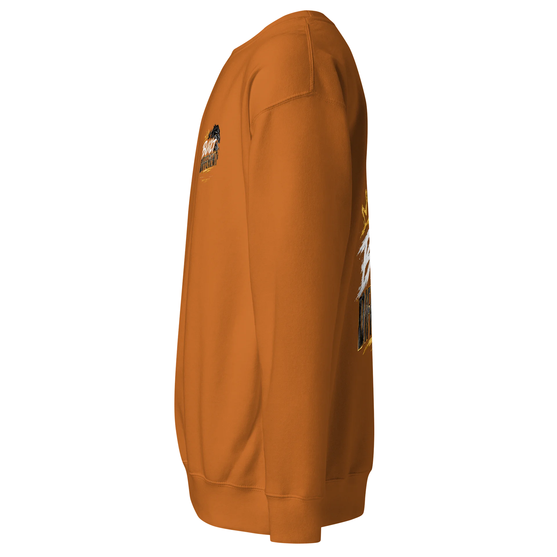 BUILT DIFFERENT Lion Streetwear Sweatshirt product image (3)