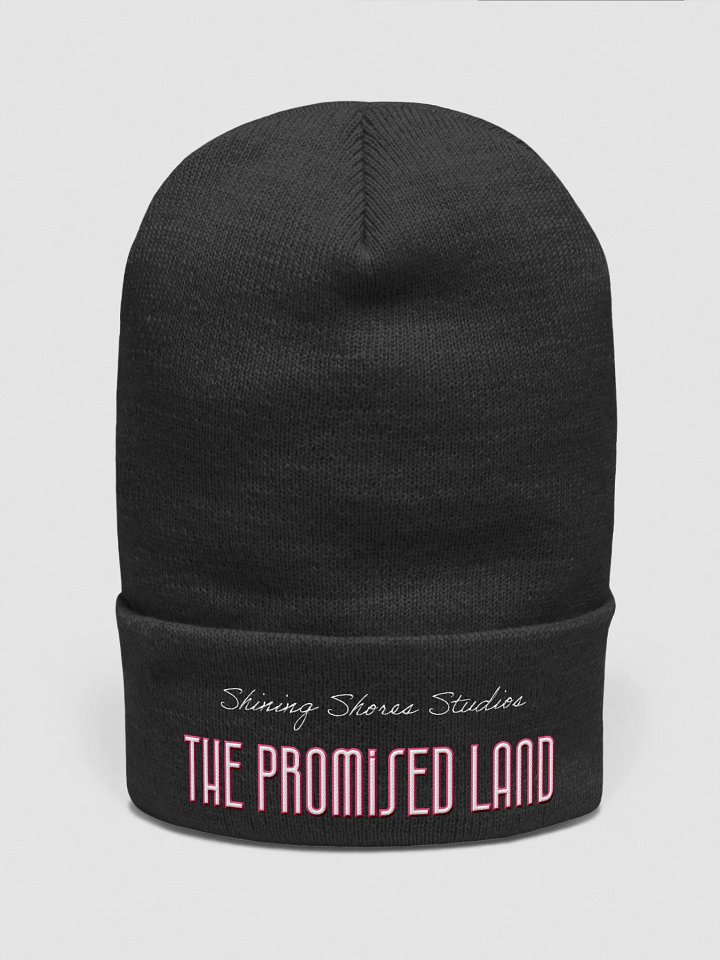 S³ The Promised Land Cuffed Beanie product image (1)