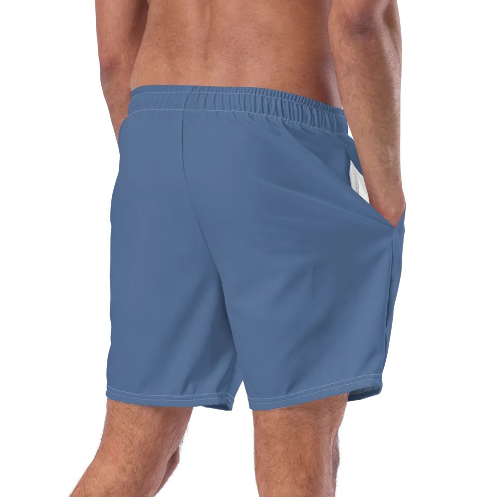Avalon Men's Logo Print Swim Trunks product image (3)