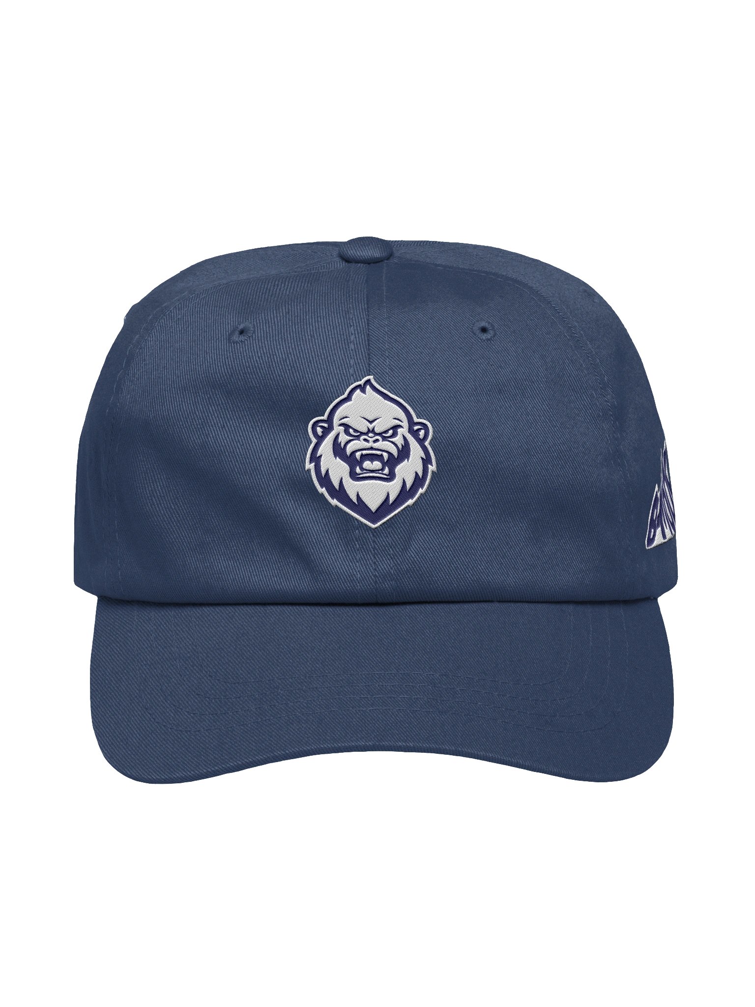 Yeti Dad Hat product image (3)