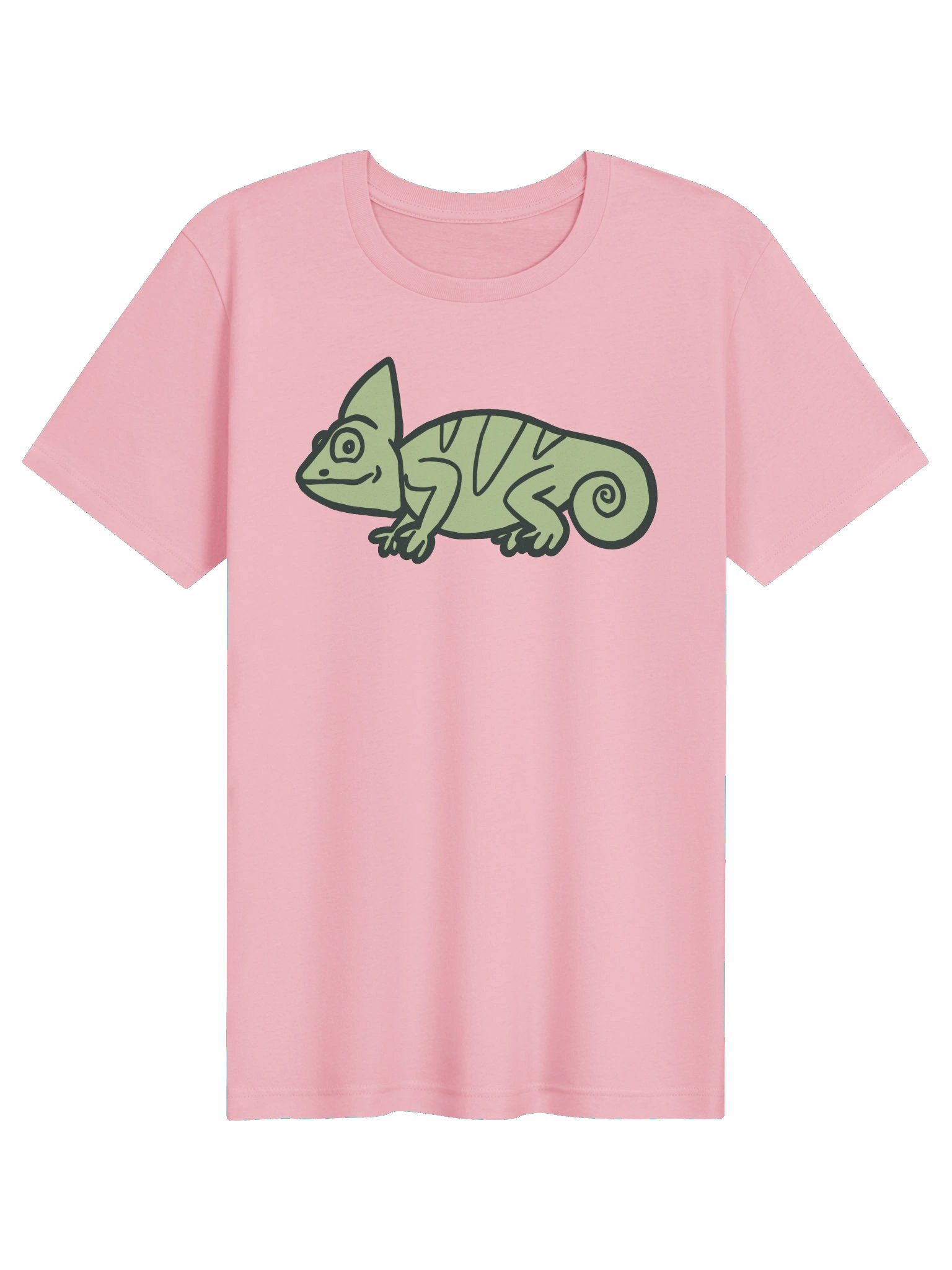 Chameleon T-Shirt product image (15)