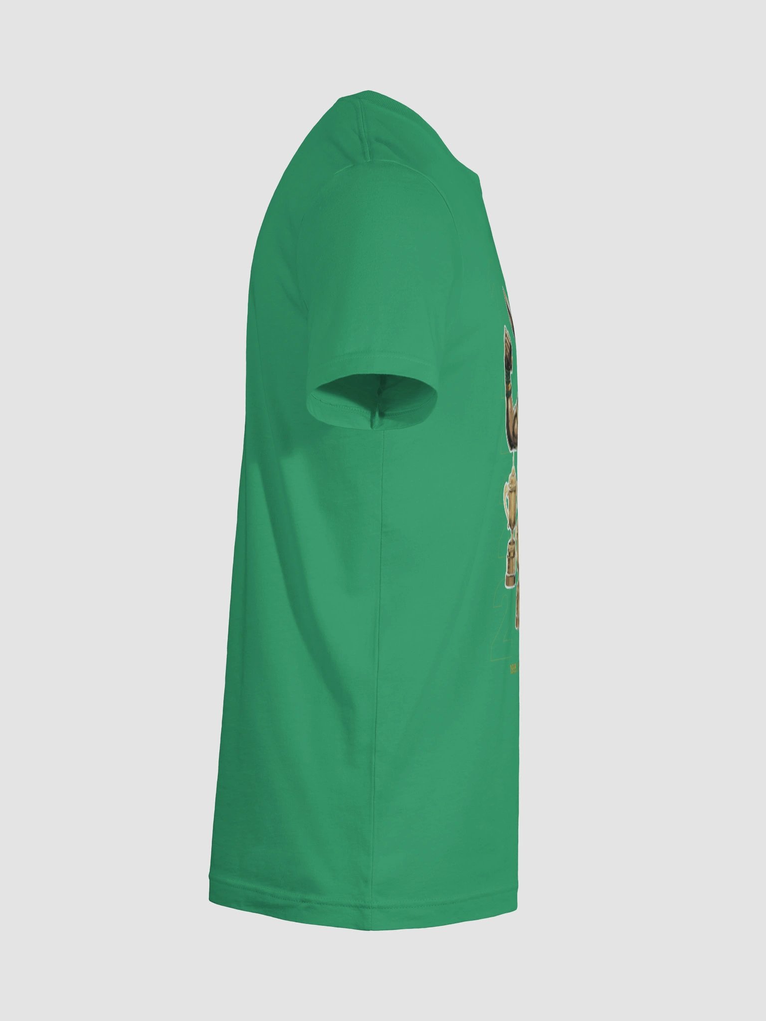 Springbok Rugby World champions T-Shirt product image (12)