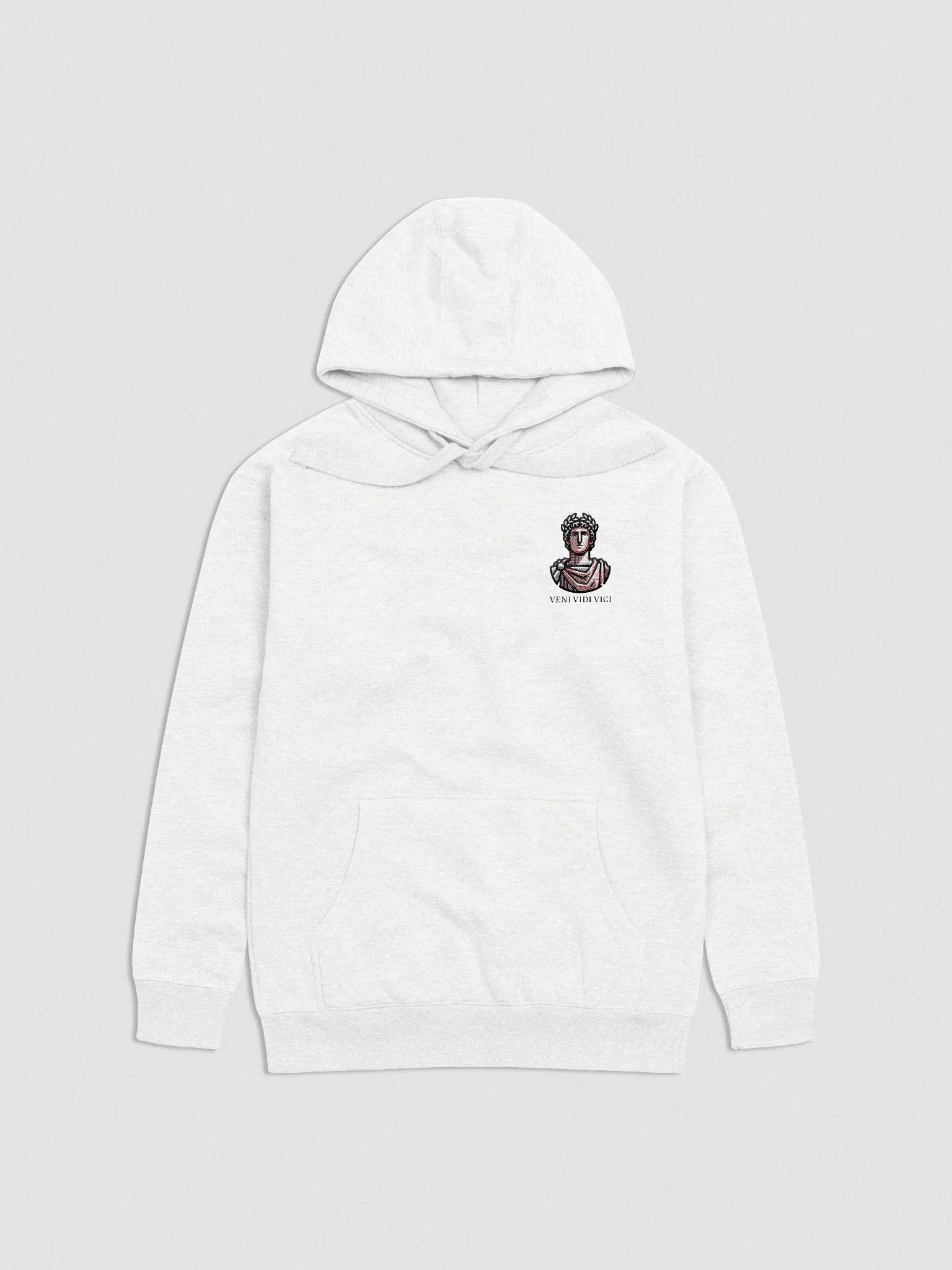 Veni Vidi Vici Hoodie product image (2)