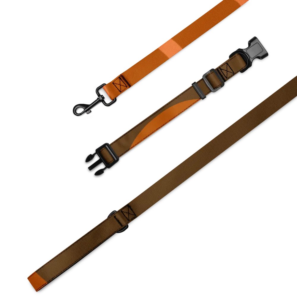 Orange Mystic Collar & Leash Set product image (1)