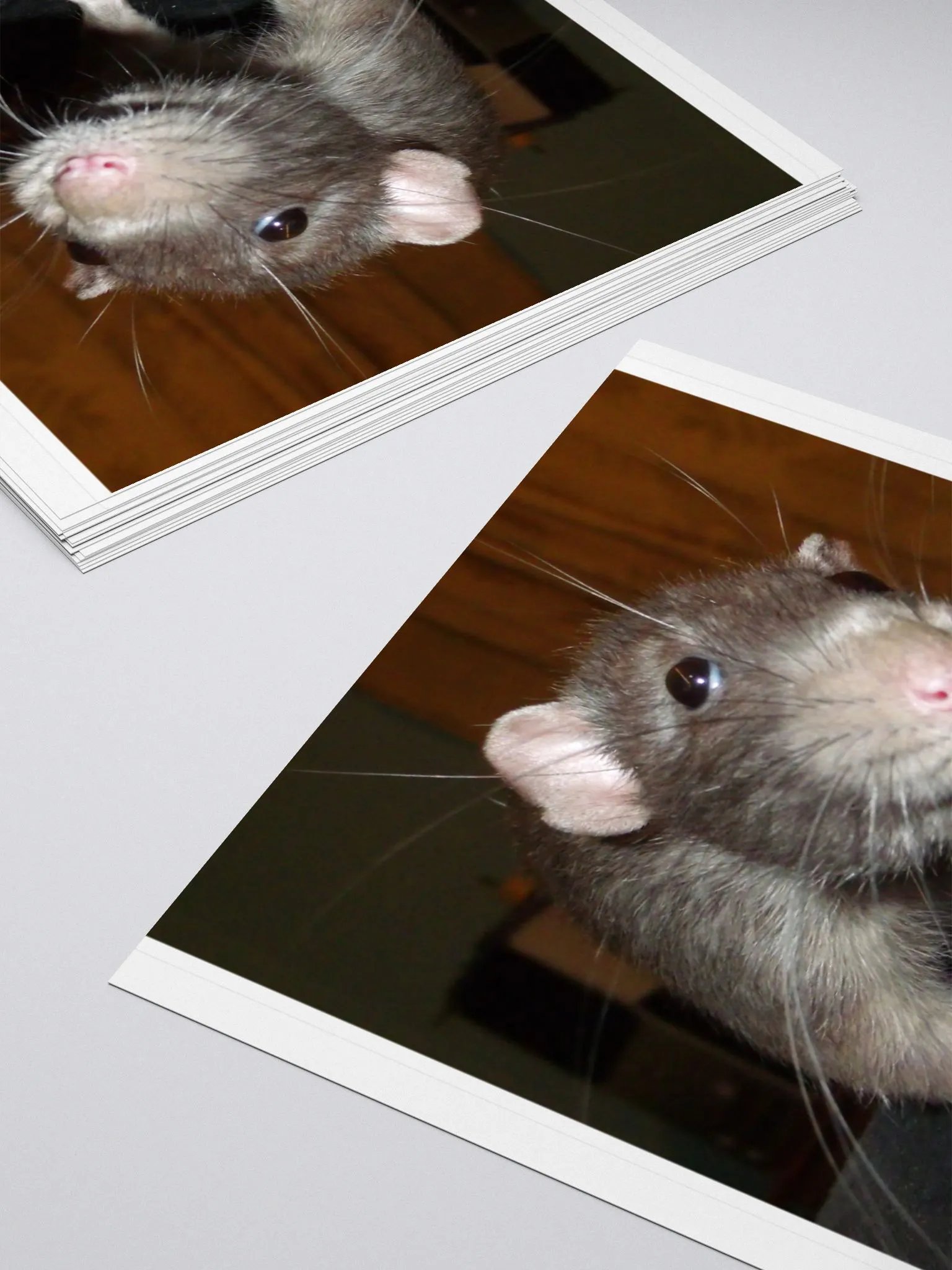 Biff rat sticker product image (10)