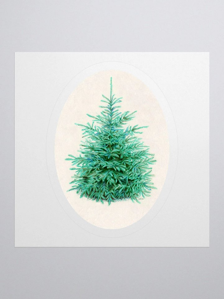 Blue spruce (Picea pungens) illustration sticker product image (2)