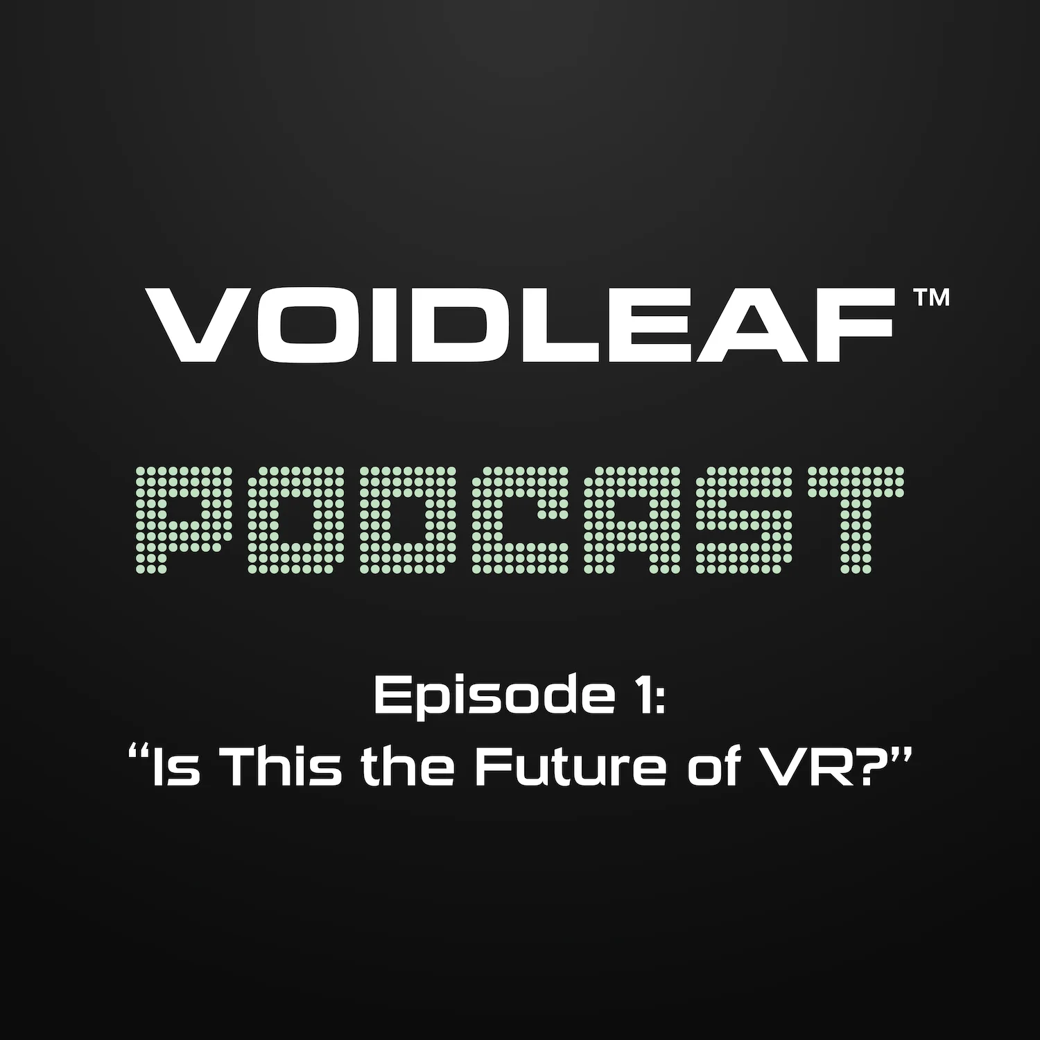 VOIDLEAF Podcast - Is This the Future of VR? (Episode 1) [Digital Download] product image (1)