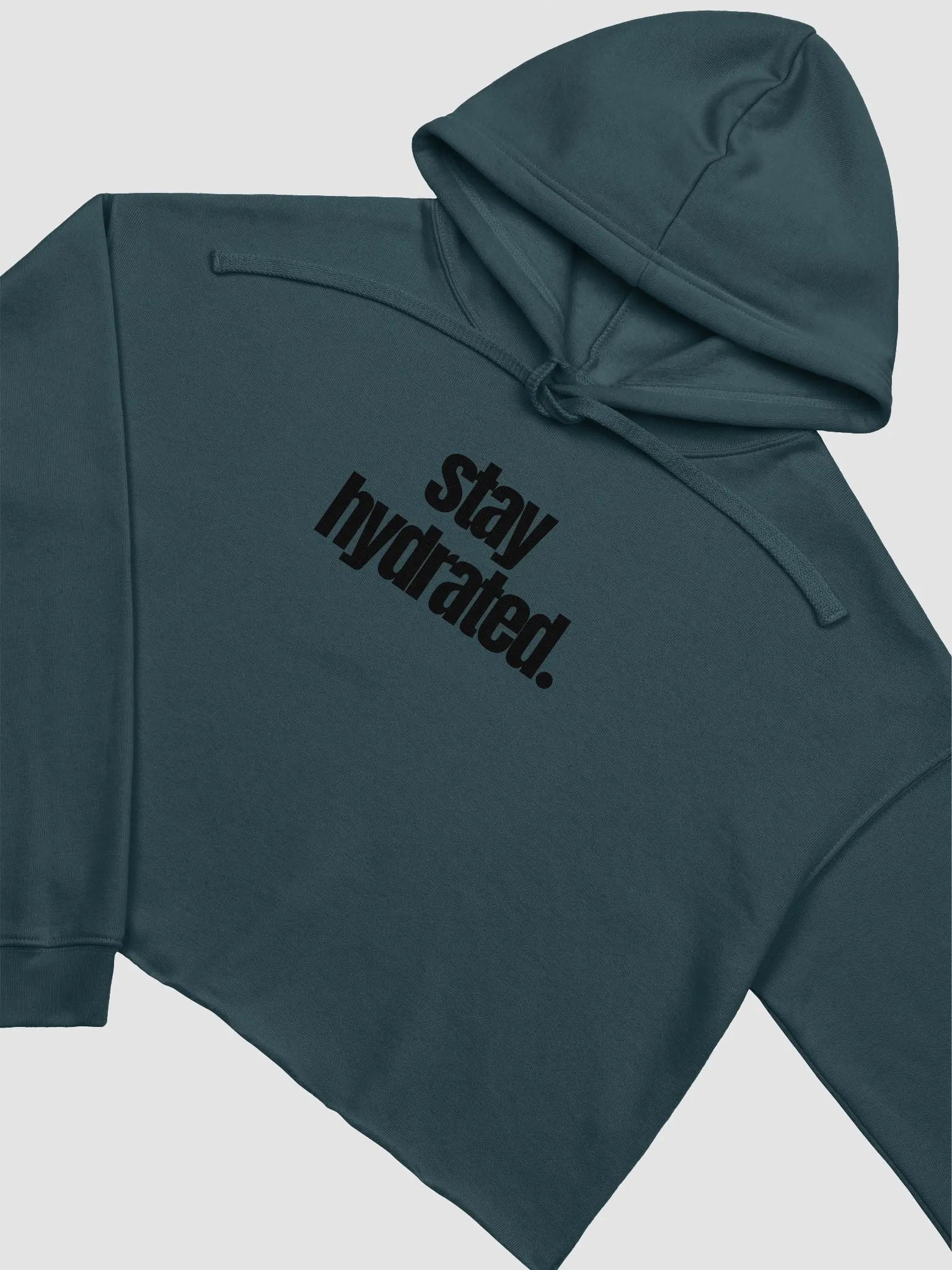 Stay Hydrated Crop Hoodie product image (3)
