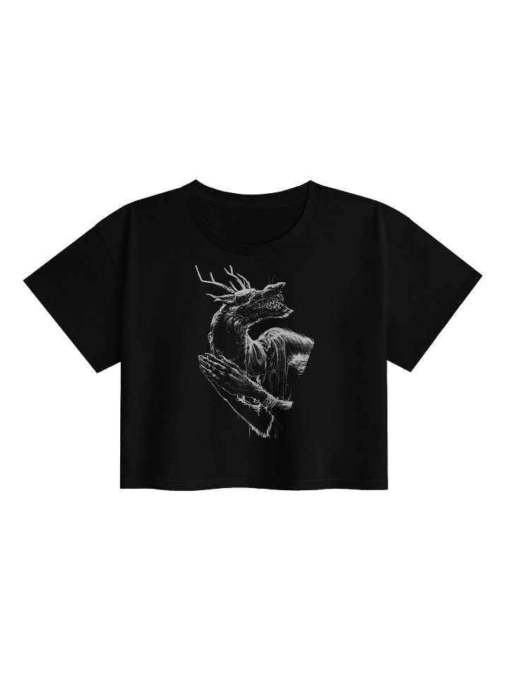 Vicar Amelia AS Colour Women's Premium Crop Top product image (1)
