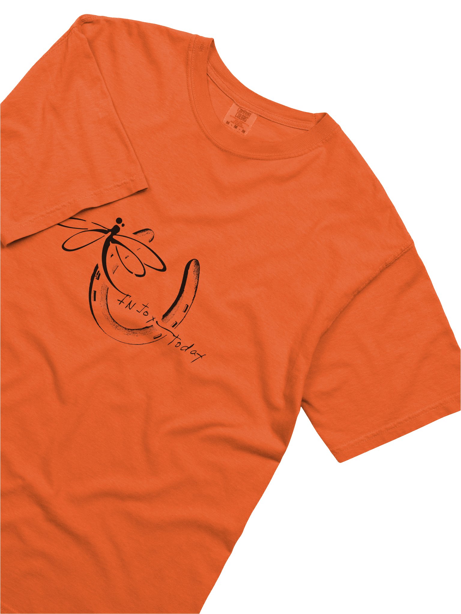 InJoy Today Daily Joy T‑Shirt| Premium Heavyweight Cotton T‑Shirt (Relaxed Unisex Fit) product image (3)
