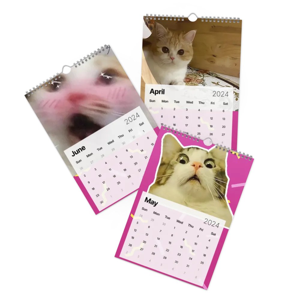 Wall Calendar (2024): Meme Cats product image (3)