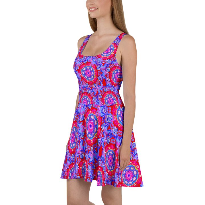 Floral Stargates Skater Dress product image (1)