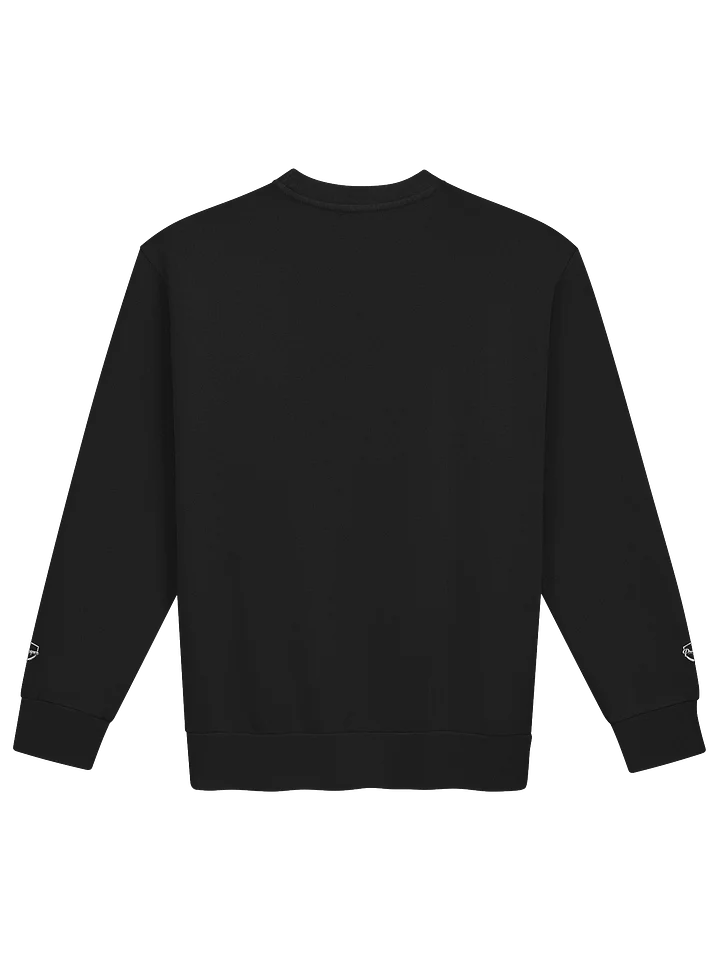PROSPER Long Sleeve Sweater - Classy SHIELD product image (2)