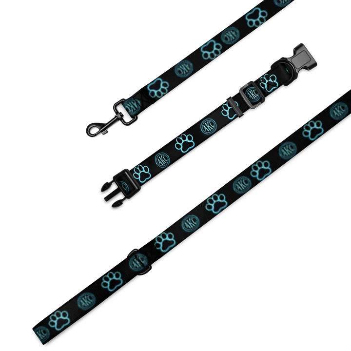 • AKC // Paw Print Collar & Leash Set | Arkfall Kitty Collective product image (1)