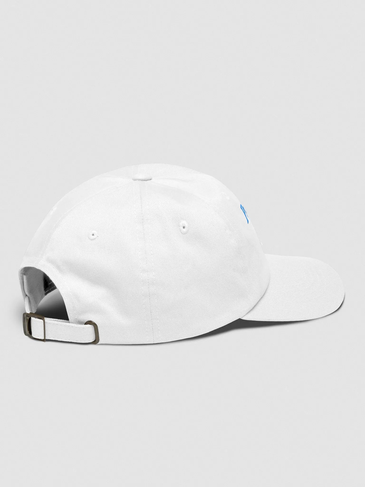 professional slanger cap product image (4)