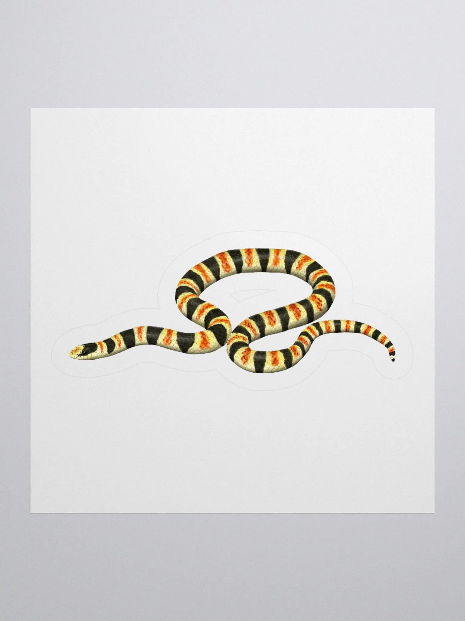 Die-Cut Sticker – Resplendent Shovelnosed Snake product image (1)