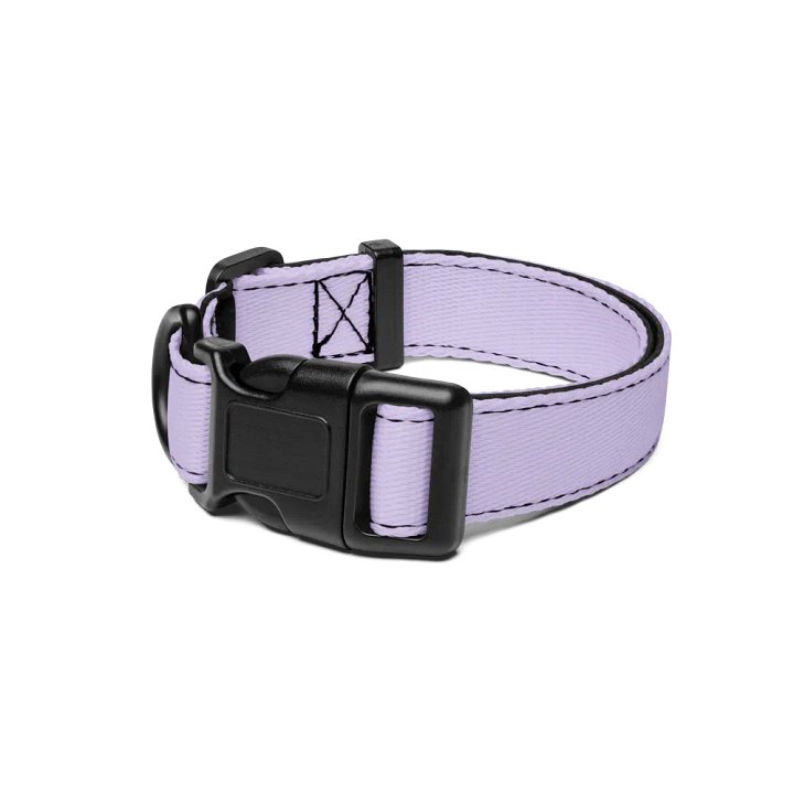 Pet Collar - Pastel Purple Edition product image (1)