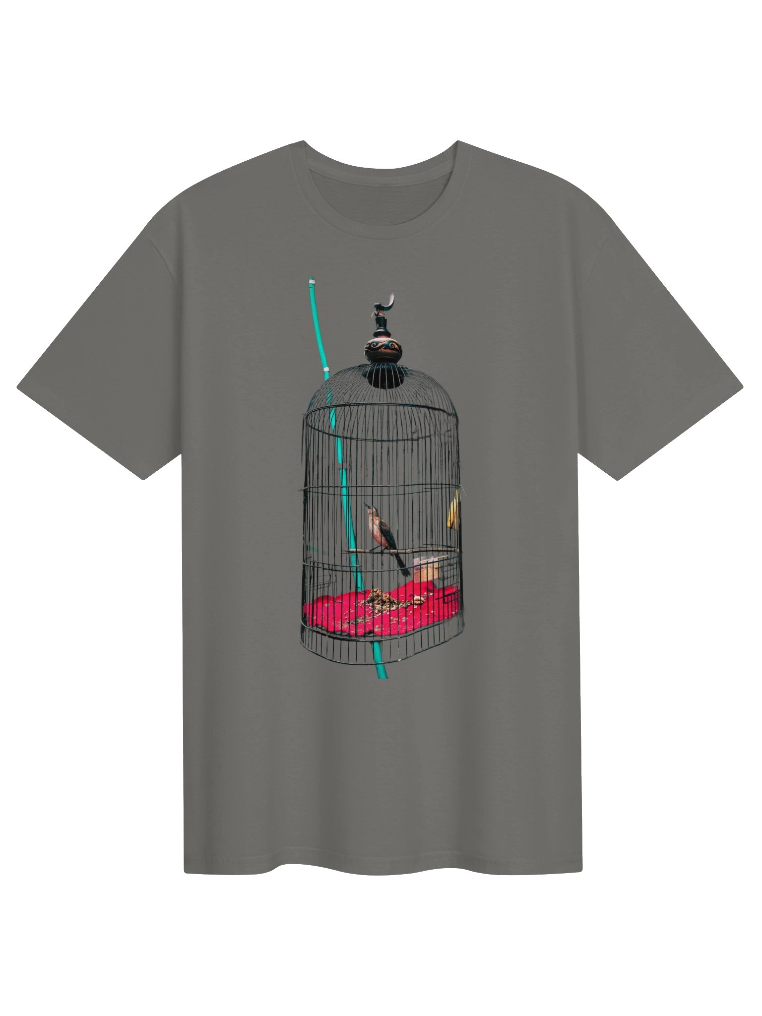 Bird in the Cage Graphic Tee product image (3)
