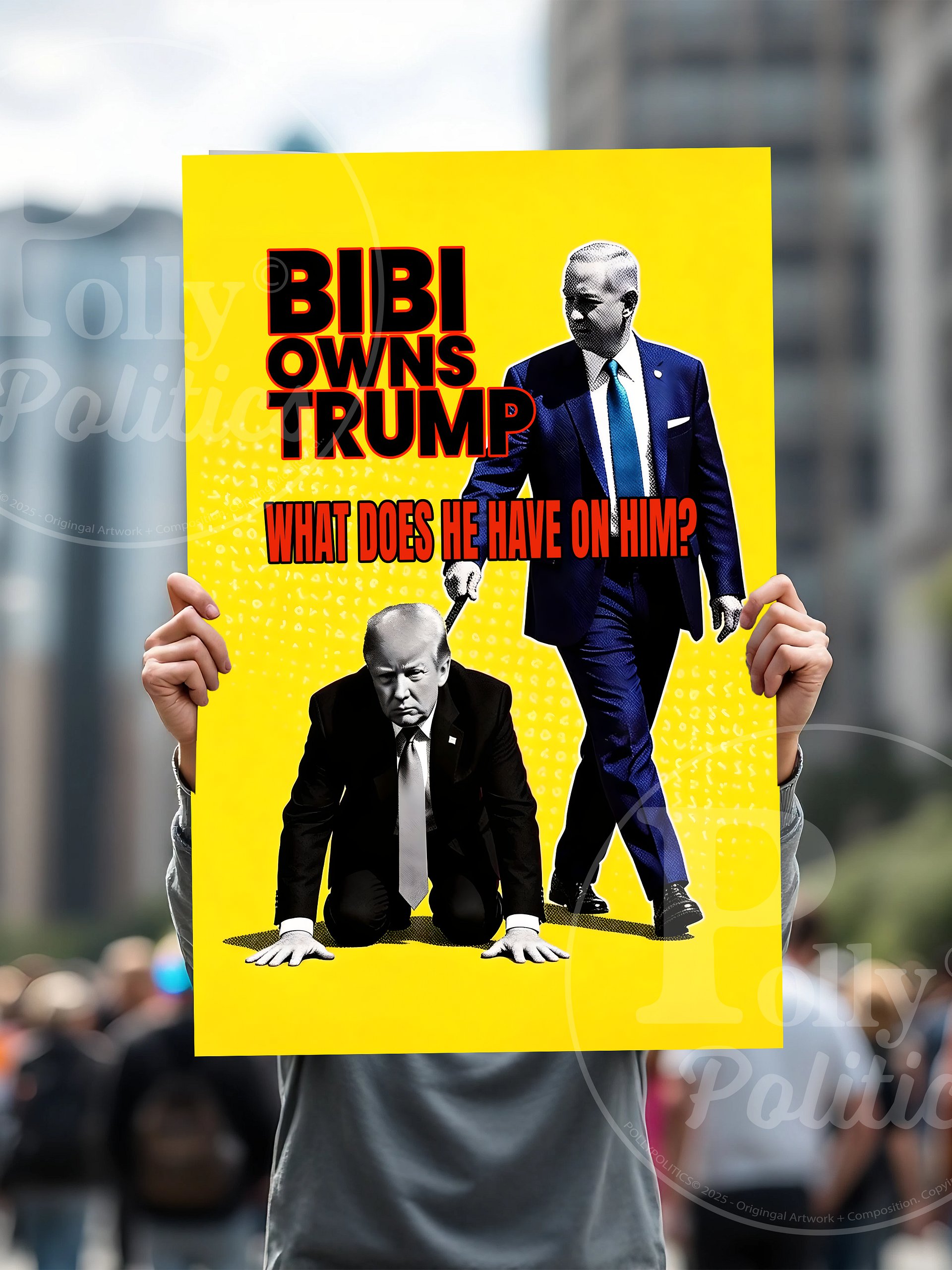 Bibi Owns Trump Protest Sign product image (6)