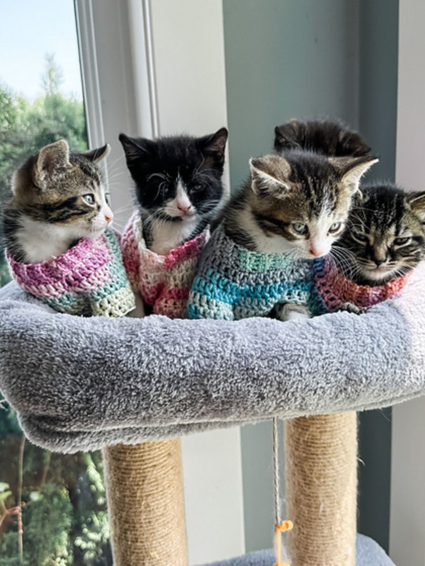 Kitty Pop Pullover Crochet Pattern product image (3)