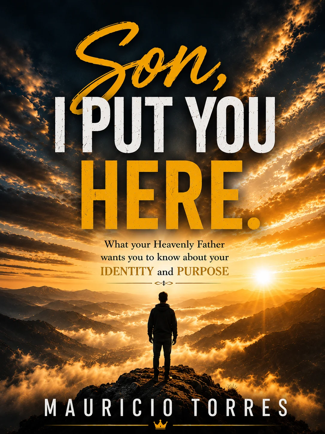 Son, I Put you Here E-Book download product image (1)