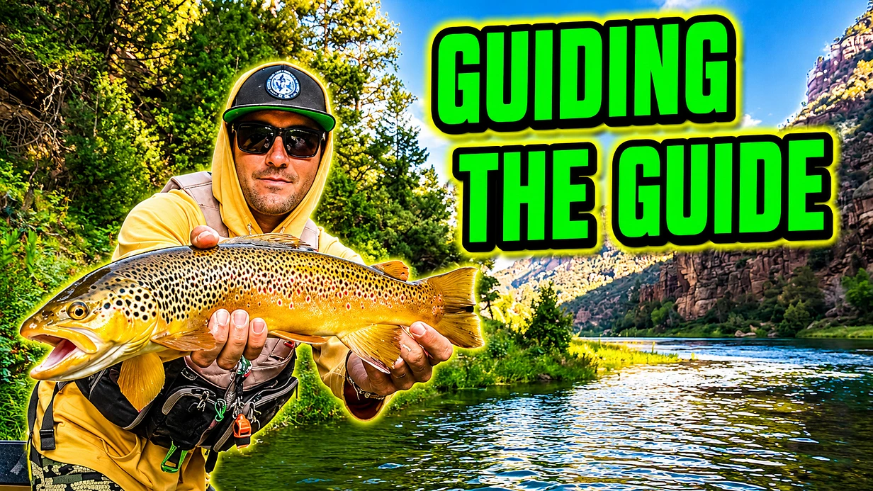 New video thumbnail