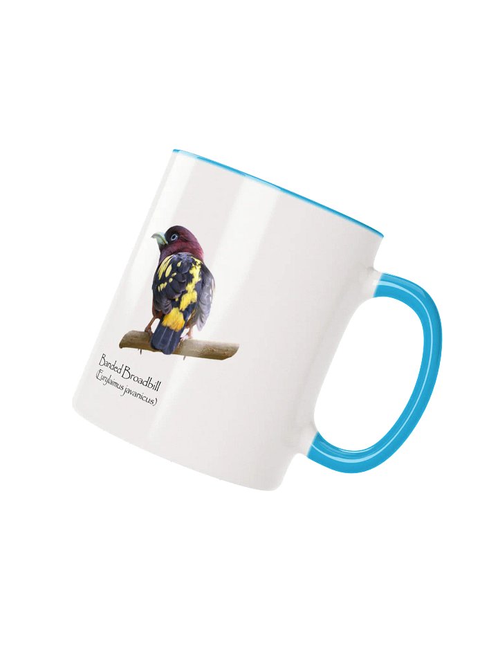 Banded Broadbill mug product image (2)