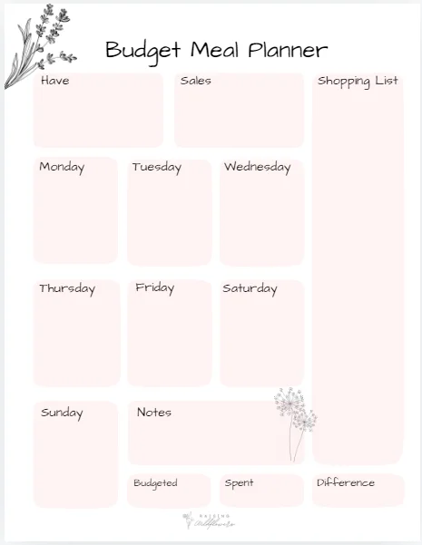 Budget Meal Plan product image (2)
