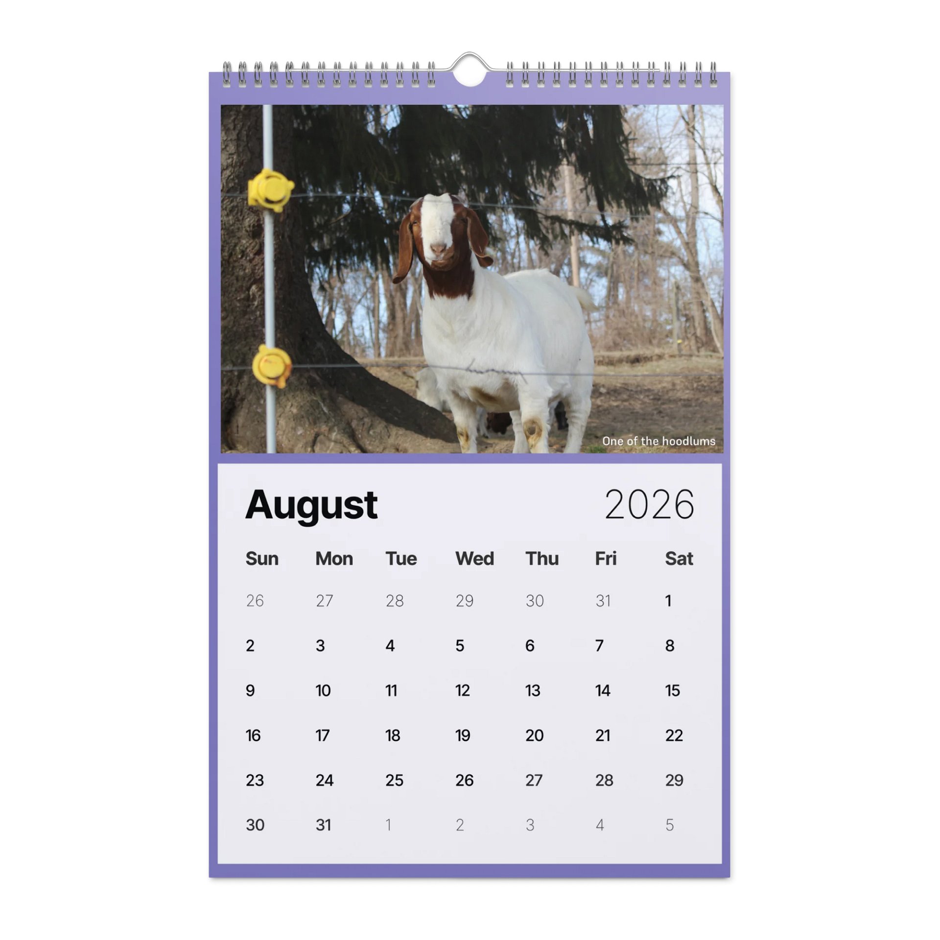 Muddy Toes Farm 2026 Country Life Calendar product image (2)
