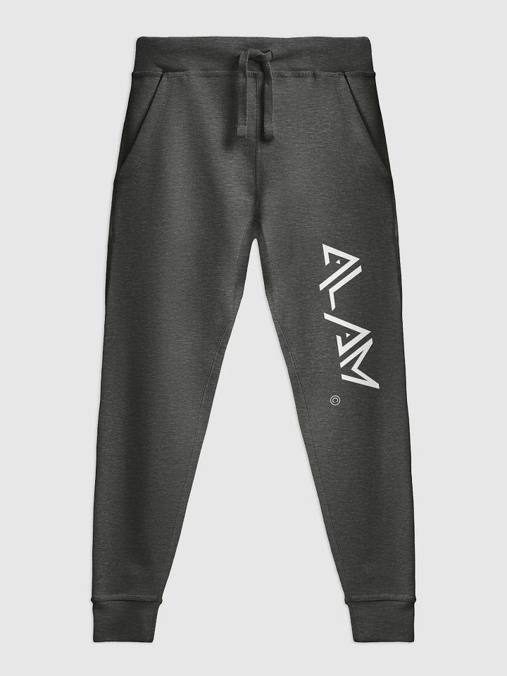 Alam Men's Sweatpants product image (3)