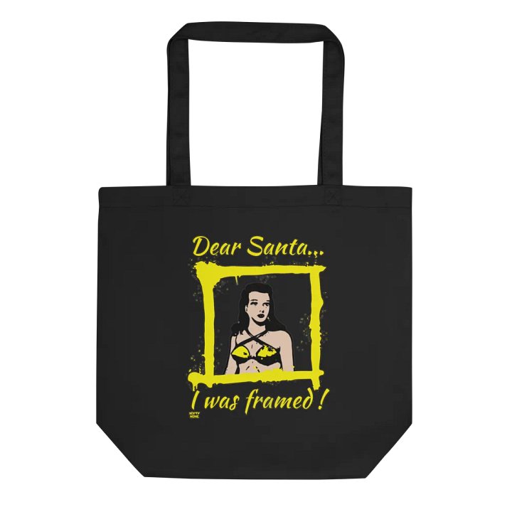 DEAR SANTA, I WAS FRAMED! product image (1)