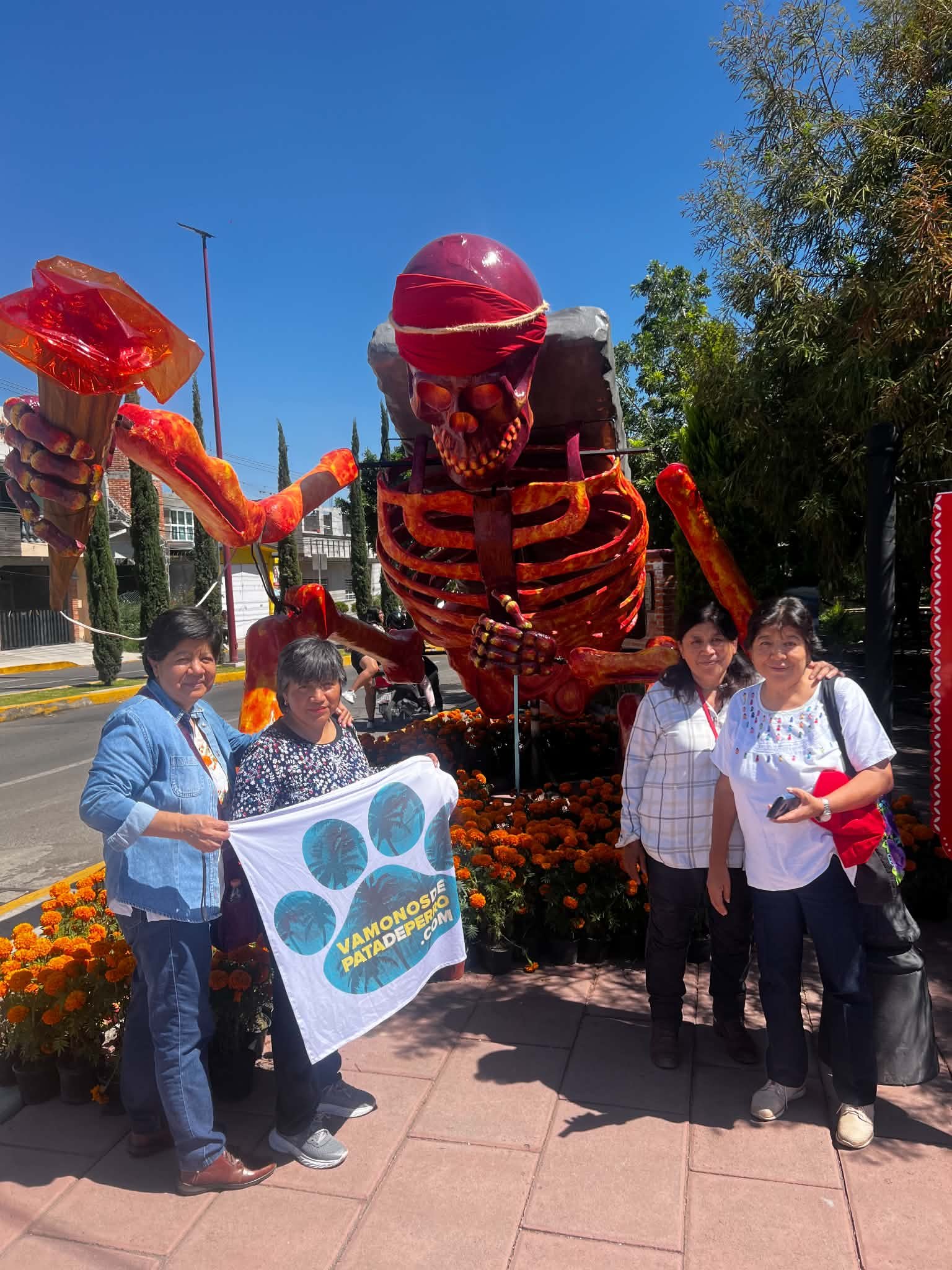Tour. Campos de Cempasuchil y Valle de las Catrinas en Atlixco product image (5)